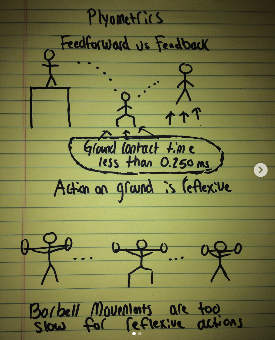 feedback-vs-feedforward-plyometrics